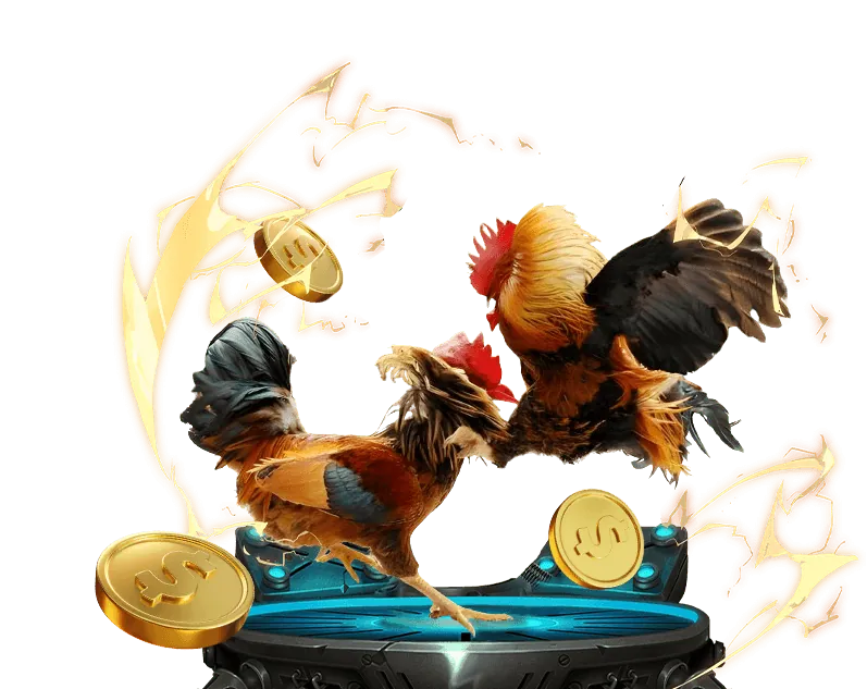 Tổng quan về chính sách bảo mật daga 388